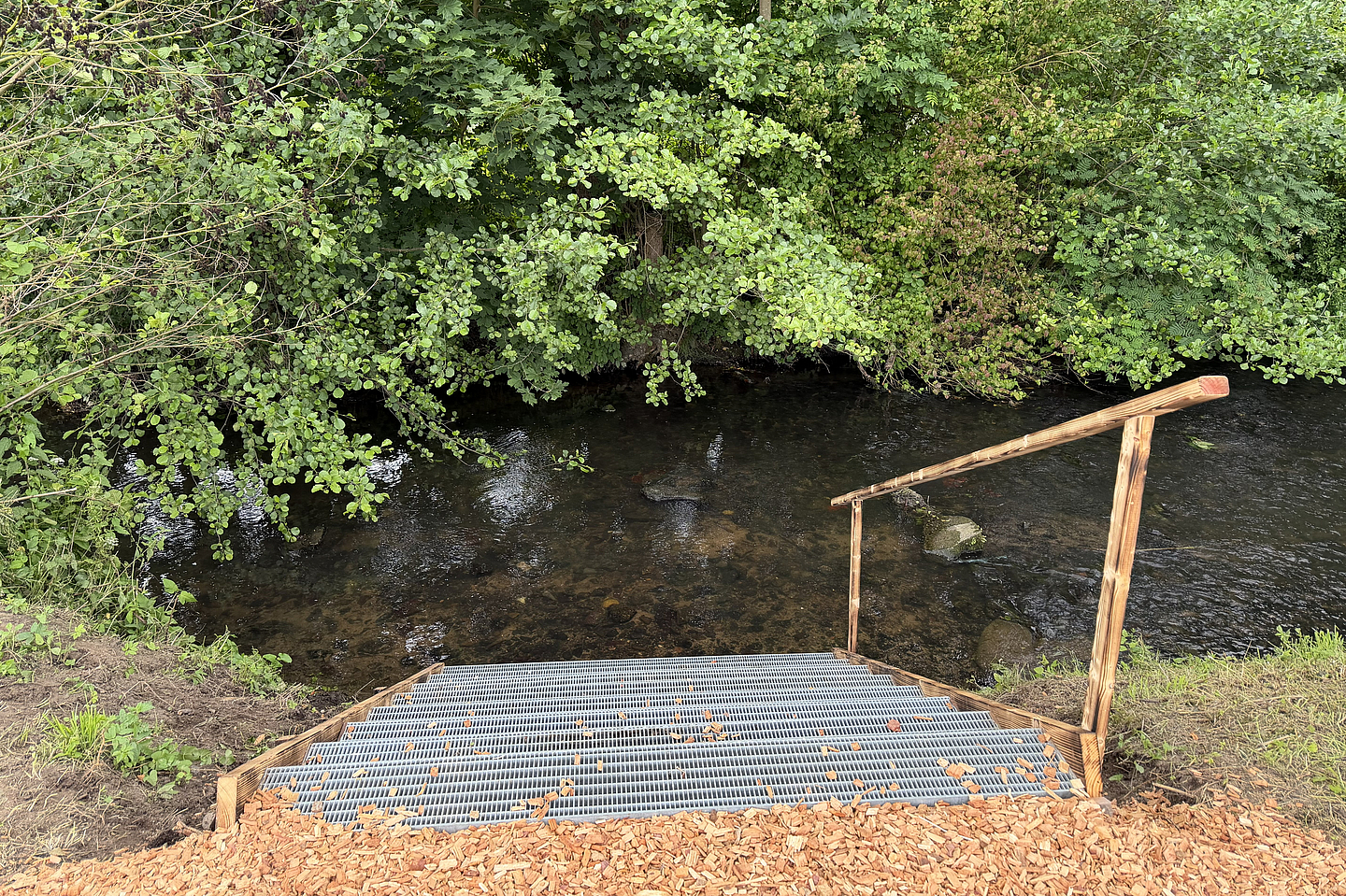 Der Bauhof der Stadt fertigte extra eine Metalltreppe, um die Efze sicher betreten zu können. Der Bauhof der Stadt fertigte extra eine Metalltreppe, um die Efze sicher betreten zu können.