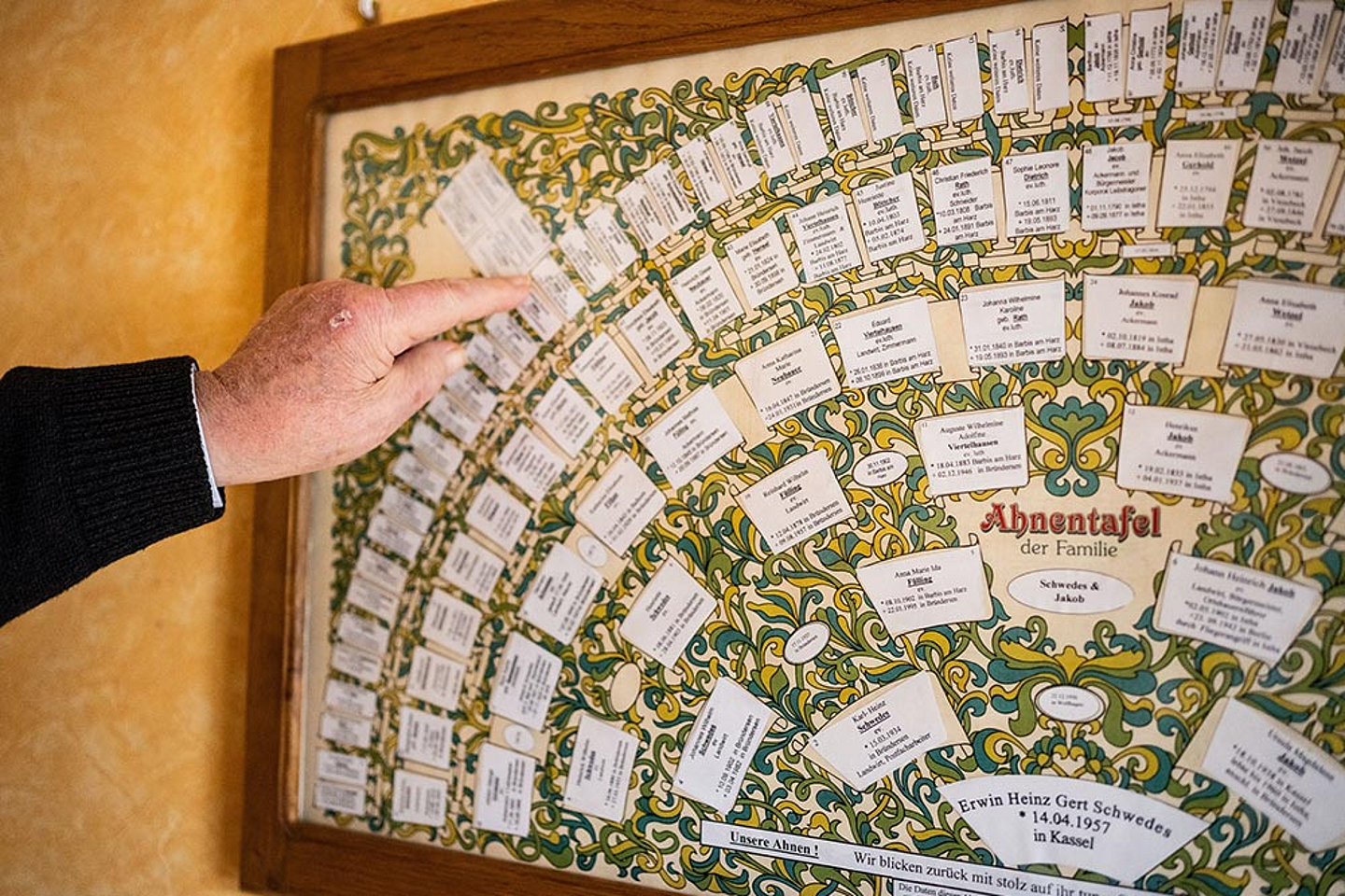 Eine meterbreite Ahnentafel hängt im Flur von Karl-Heinz Schwedes