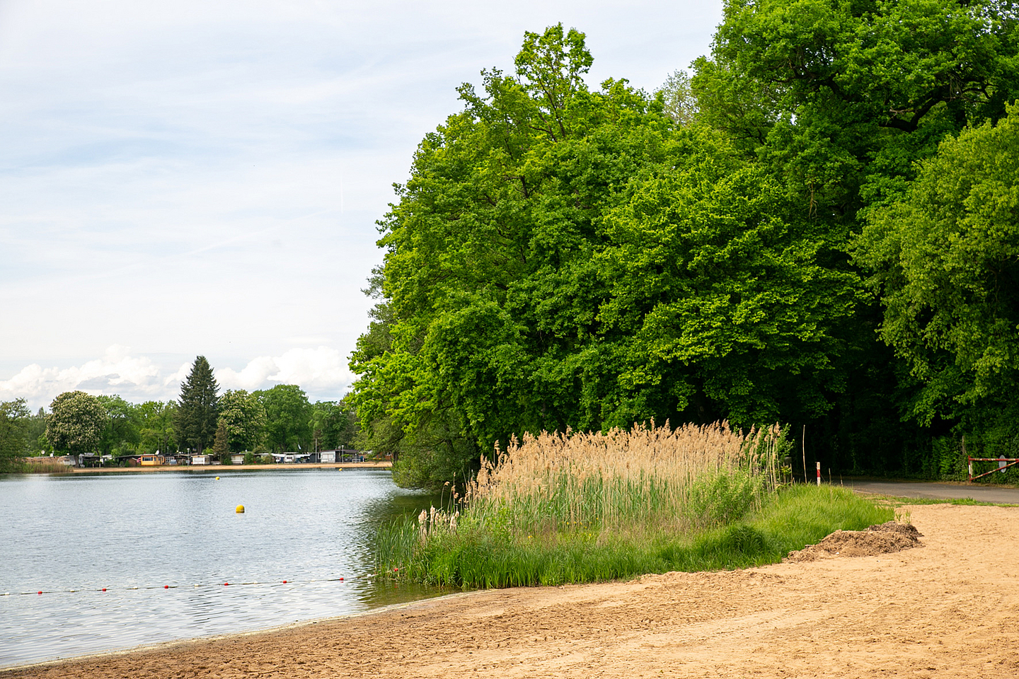 Ein Abschnitt des Ufers am Bärensee