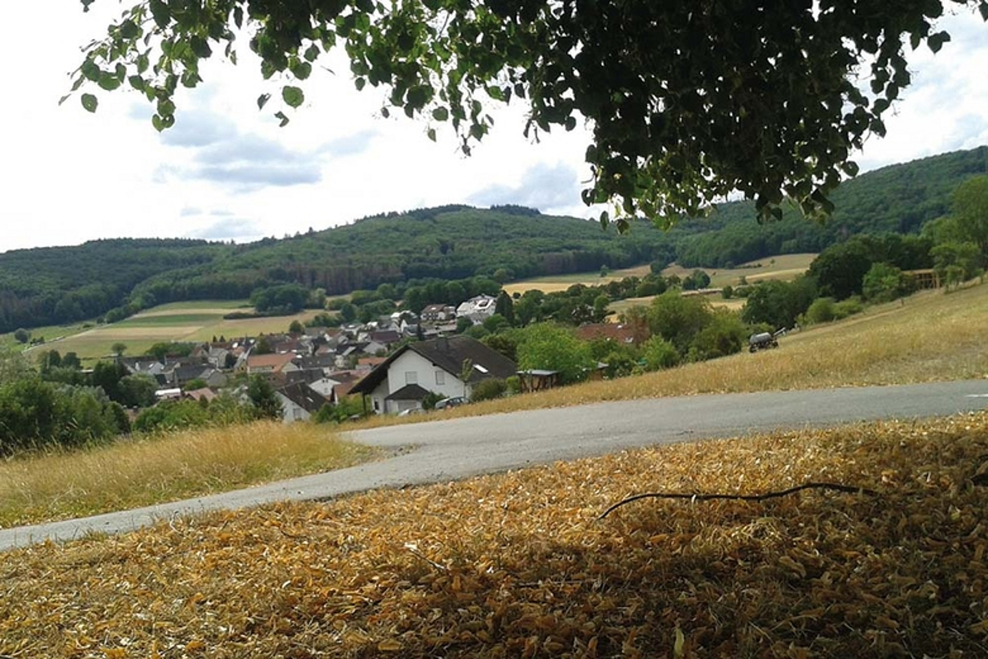(Foto:  Kirchengemeinde Rodenhausen)