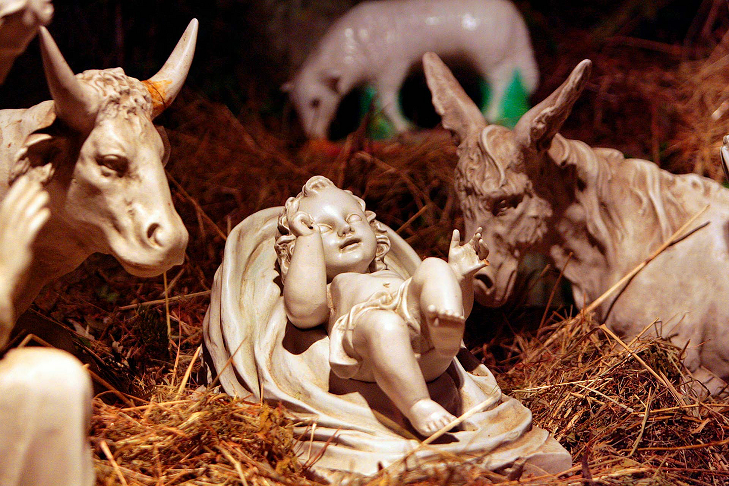 BU: In vielen Weihnachtskrippen mit dabei: Ein Ochse und ein Esel.