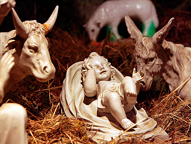 BU: In vielen Weihnachtskrippen mit dabei: Ein Ochse und ein Esel.