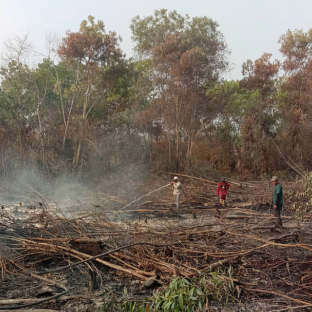 Das Foto zeigt die Situation im Waldbrandgebiet in Indonesien.