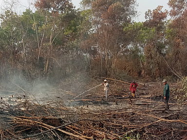 Das Foto zeigt die Situation im Waldbrandgebiet in Indonesien.