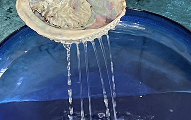 Wasser fließt aus einer Steckmuschel in eine blaue Schale.