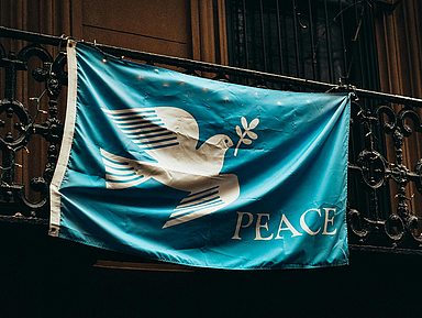 Das Foto zeigt eine blaue Flagge auf der eine weiße Taube und die Aufschrift Peace abgebildet sind