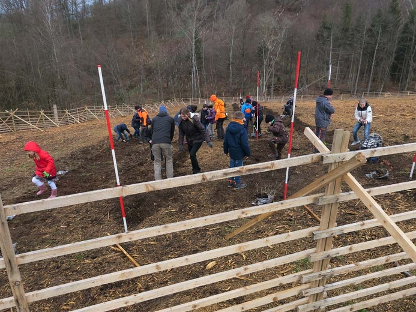 Pflanzaktion der Schülerinnen und Schüler der Auenbergschule Bad Wildungen am 29.3.2023. (Quelle: Albus) 
