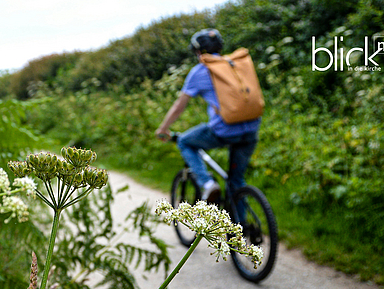 Ein Radfahrer fährt auf einem Weg durch die Natur.