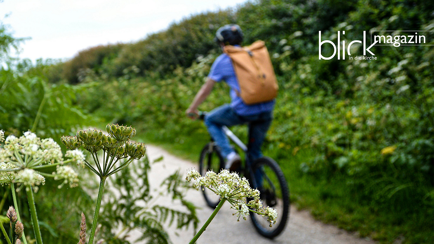 Ein Radfahrer fährt auf einem Weg durch die Natur.