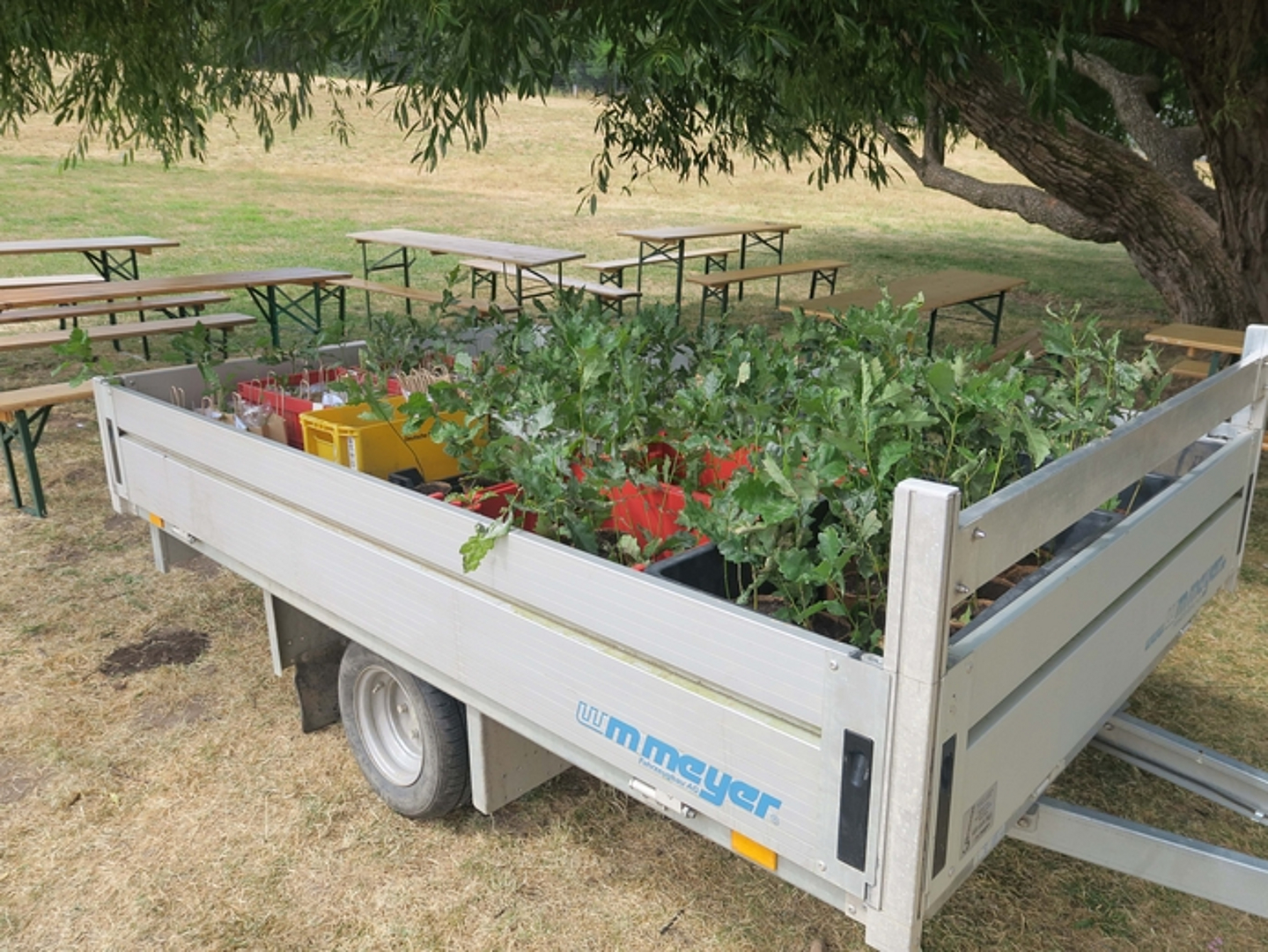 Gottesdienst mit Baum-Aktion zur Themenwoche «Bäume und Pflanzen» auf der Landesgartenschau in Fulda.