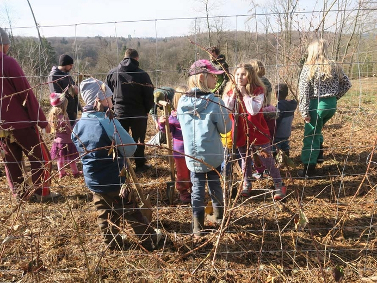 Pflanzaktion der Kita-Kinder der Kindertagesstätte Bad Arolsen am 18.3.2023. (Quelle: Albus)