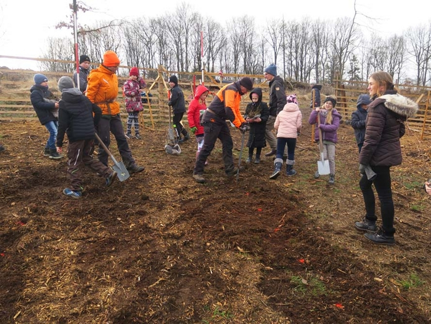 Pflanzaktion der Schülerinnen und Schüler der Auenbergschule Bad Wildungen am 29.3.2023. (Quelle: Albus) 