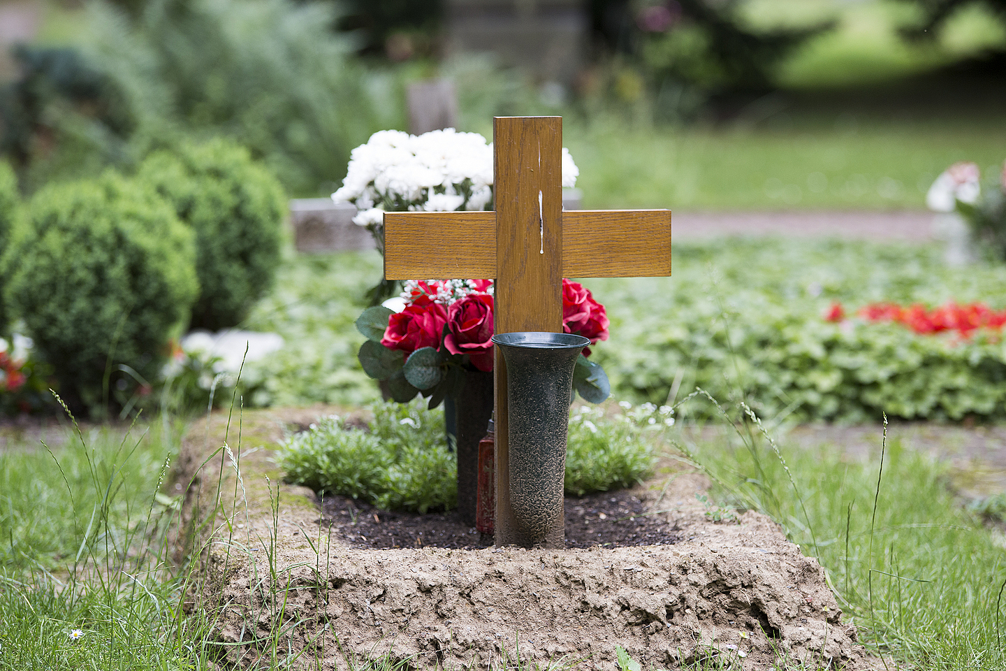Grabstätte auf dem Kasseler Hauptfriedhof.