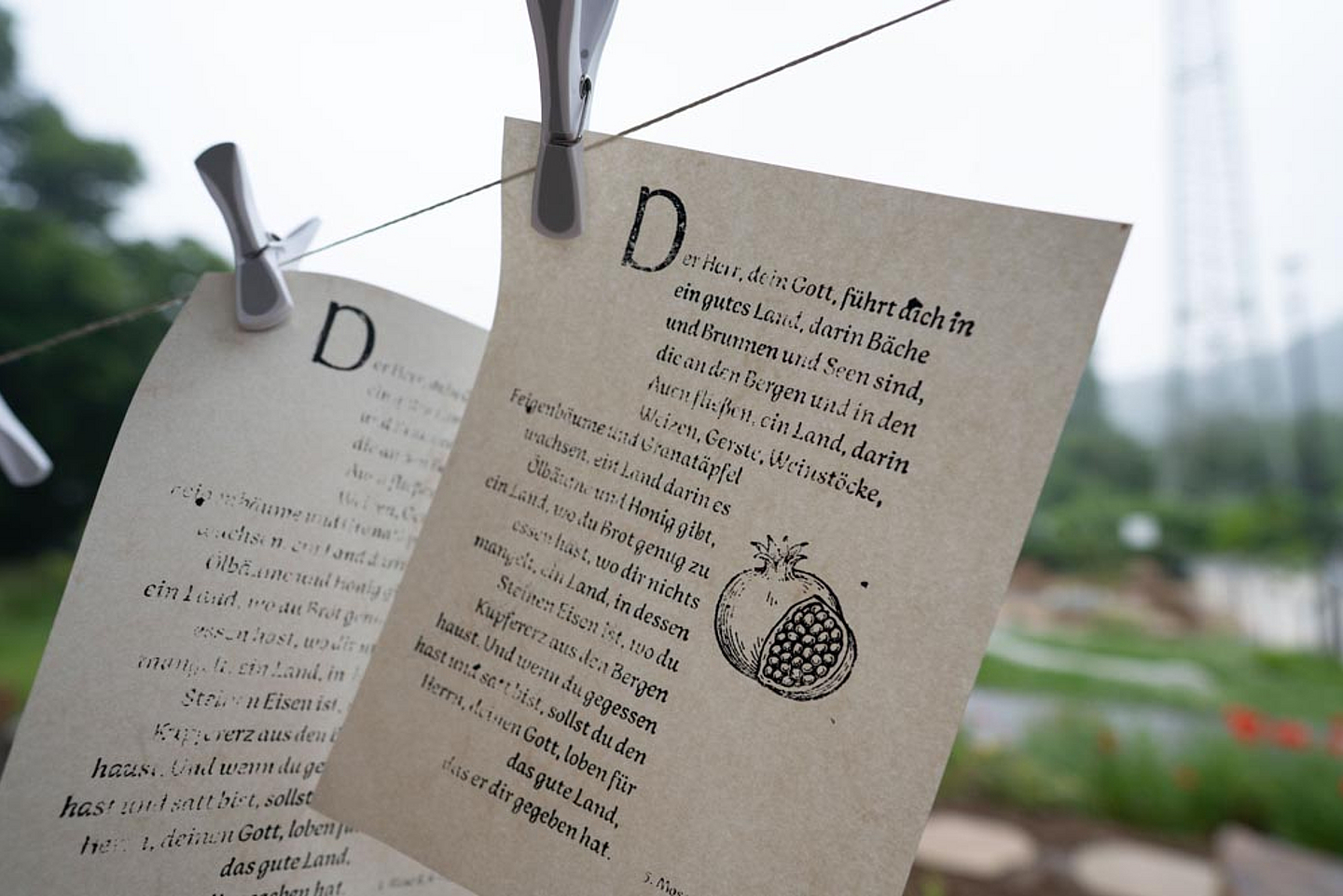 Bibelgarten am Edersee - Eröffnung