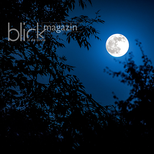 Der Mond scheint durch Blätter und Äste eines Baums