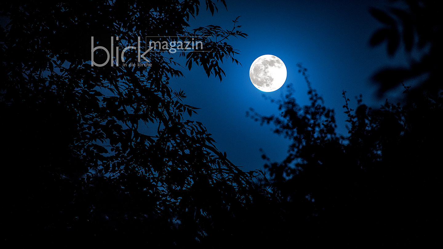 Der Mond scheint durch Blätter und Äste eines Baums