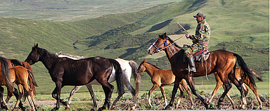 Auf den bis zu 14 Stunden langen Fahrten zu den Gemeinden und Projekten konnte die Delegation die Schönheit des zentralasiatischen Landes bewundern. (Foto: medio.tv/Ökumenedezernat)
