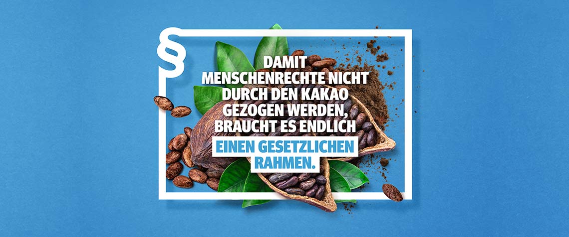 Die Initiative will auf die Arbeits- und Lebensbedingungen der Arbeiterinnen und Arbeiter am Anfang der Lieferketten aufmerksam machen und fordert Gesetze mit globalen verbindlichen Standards, die Umweltschutz und Menschenrechte an allen Stellen der Lieferkette garantieren. (Motiv: lieferkettengesetz.de)