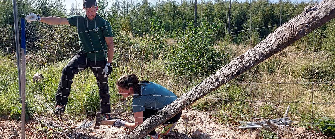 Einblick in Berufe nehmen, die tagtäglich mit der Bewahrung der Schöpfung zu tun haben: Unser Foto zeigt eine Vikarin auf einer Aufforstungsfläche bei Melsungen. (Foto: Beckmann)