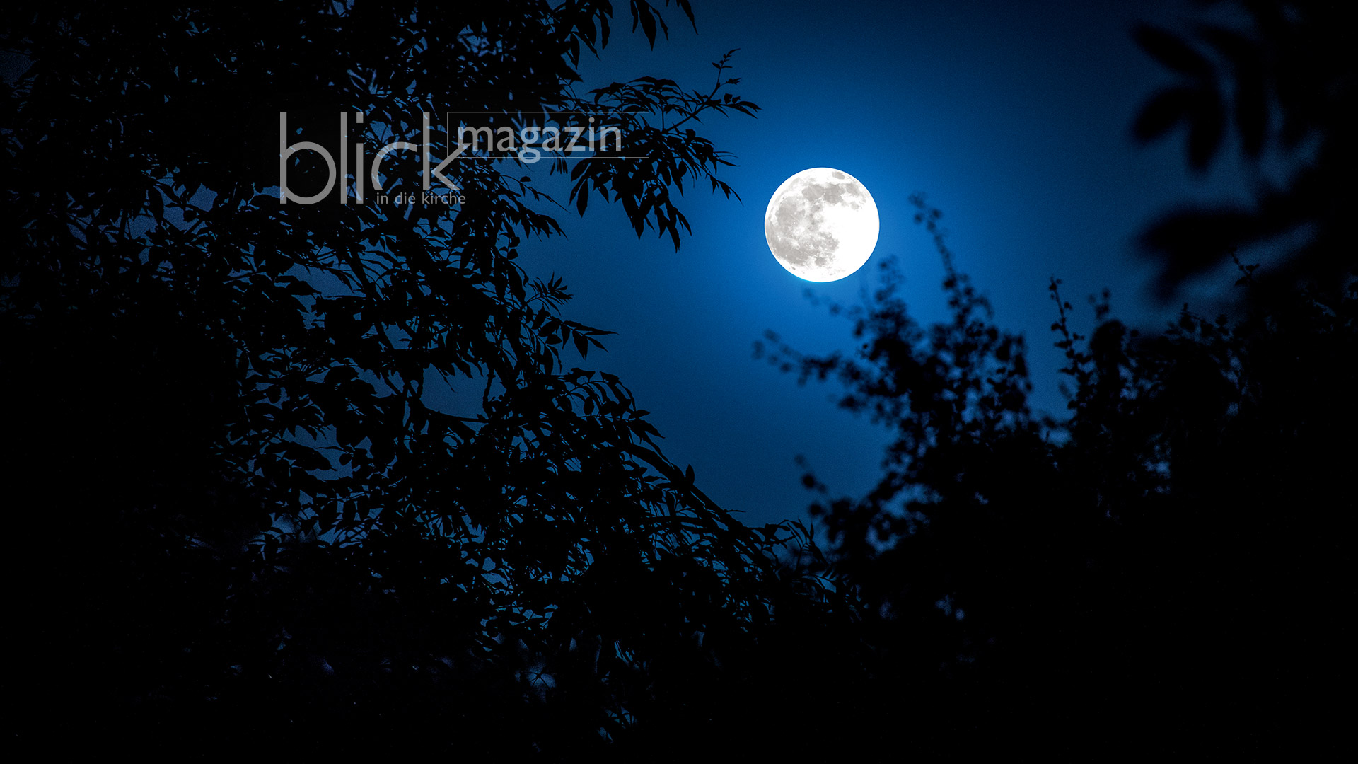 Der Mond scheint durch Blätter und Äste eines Baums