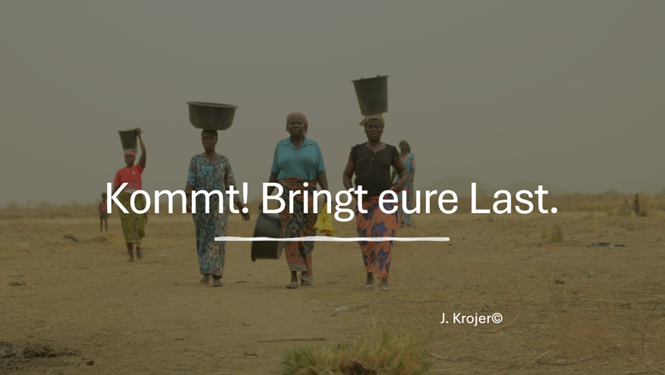 Frauen im ländlichen Nordwesten Nigerias tragen Wassertröge auf dem Kopf durch die Wüste/Savanne