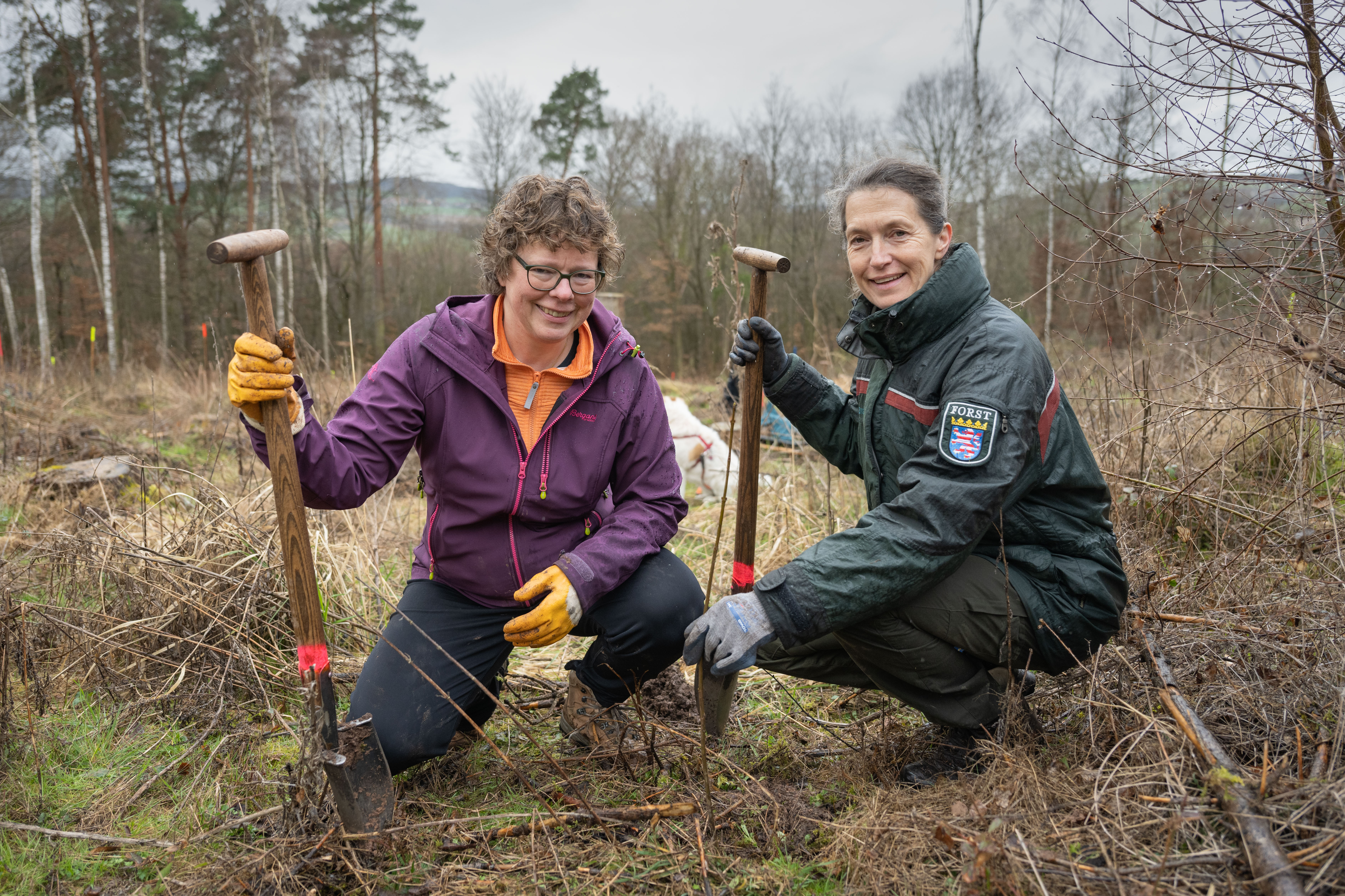 Bischöfin Dr. Beate Hofmann (l.) mit Forstamtsleiterin Petra Westphal (Forstamt Melsungen) bei der Baumpflanzaktion bei Malsfeld.