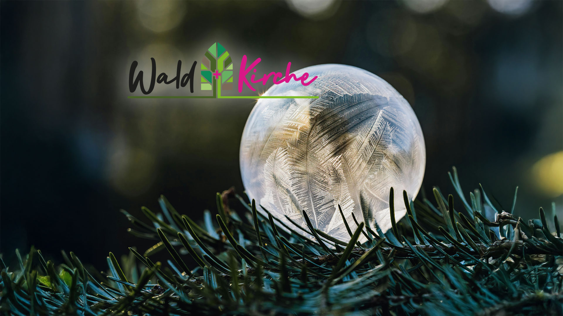 Das Foto zeigt eine gefrohrene Seifenblase auf einem Tannenzweig mit dem Logo Wald und Kirche