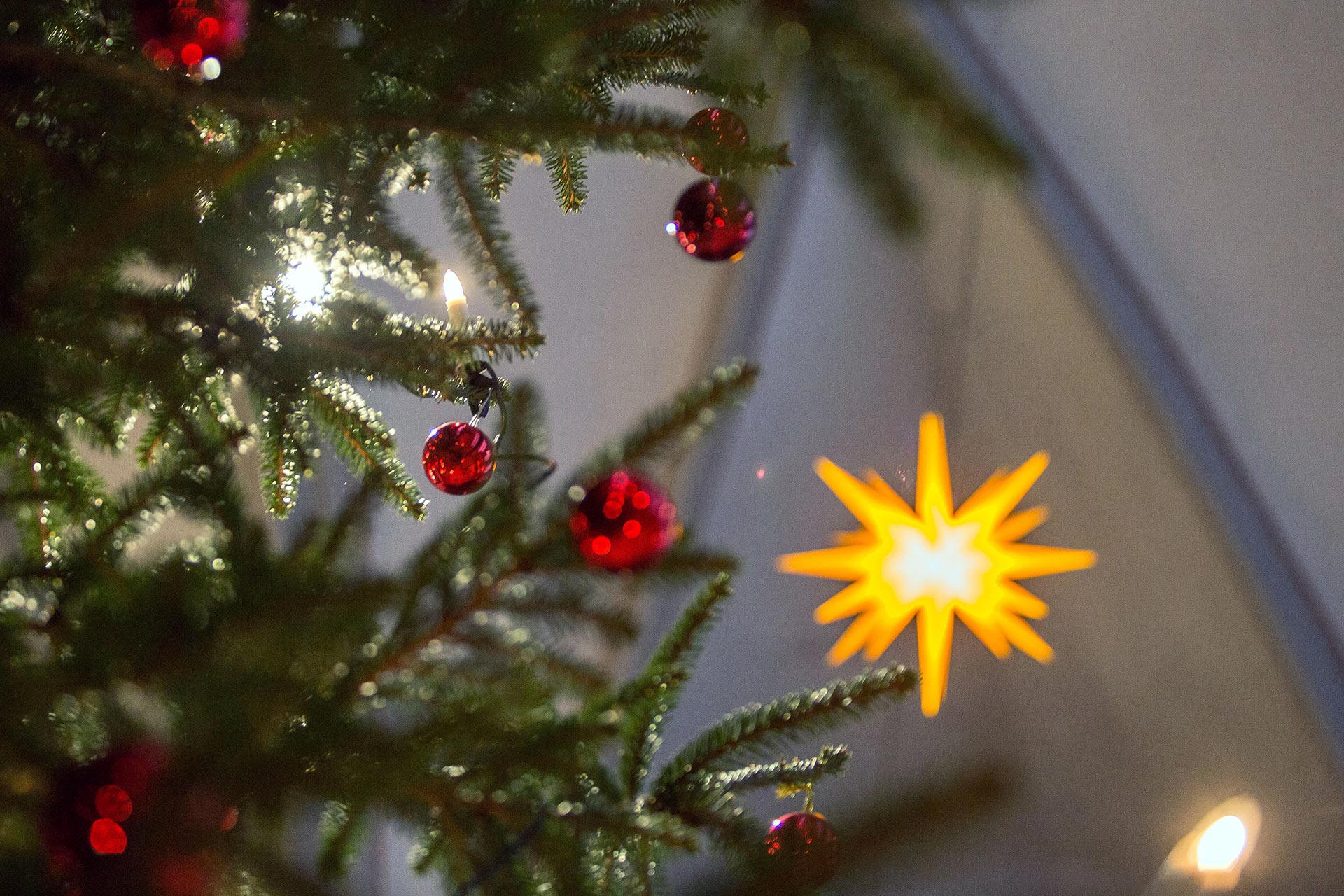 Weihnachtsgottesdienst Stadtkirche Bad Wildungen 2015