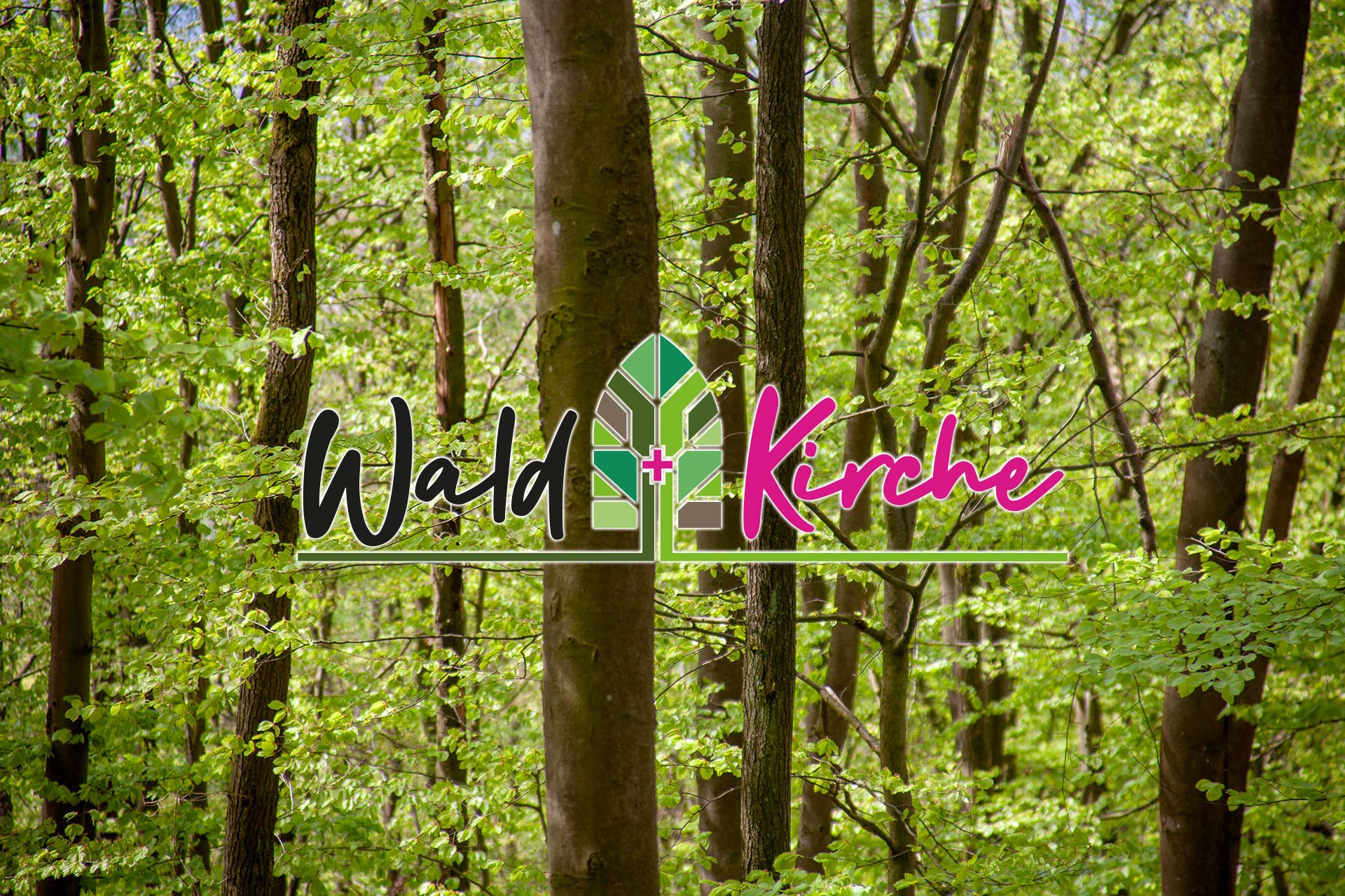 Bäume im Klimawandel: Warum sie unverzichtbar sind