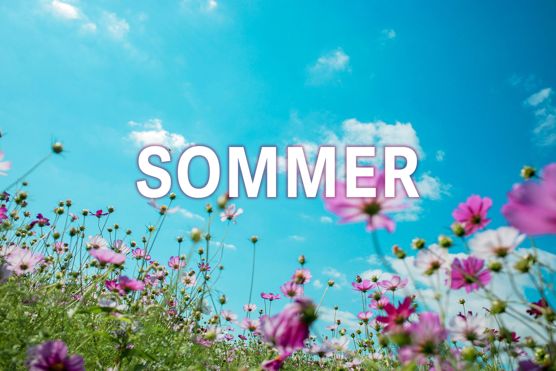 Sommertipps in der EKKW: Ausflüge, Gottesdienste und Veranstaltungen