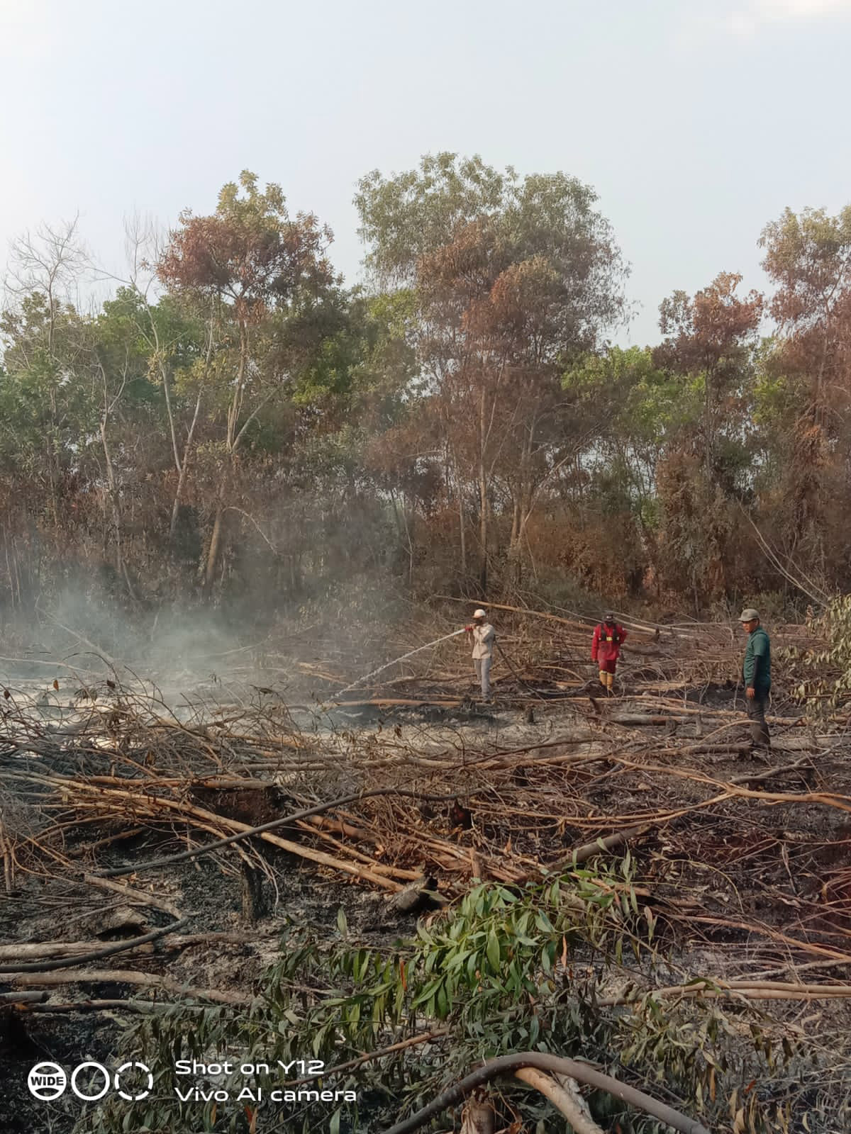 Das Foto zeigt die Situation im Waldbrandgebiet in Indonesien. Das Foto zeigt die Situation im Waldbrandgebiet in Indonesien.