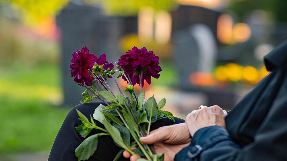 Eine Person sitzt auf einer Friedhofsbank mit Blumen in der Hand Eine Person sitzt auf einer Friedhofsbank mit Blumen in der Hand