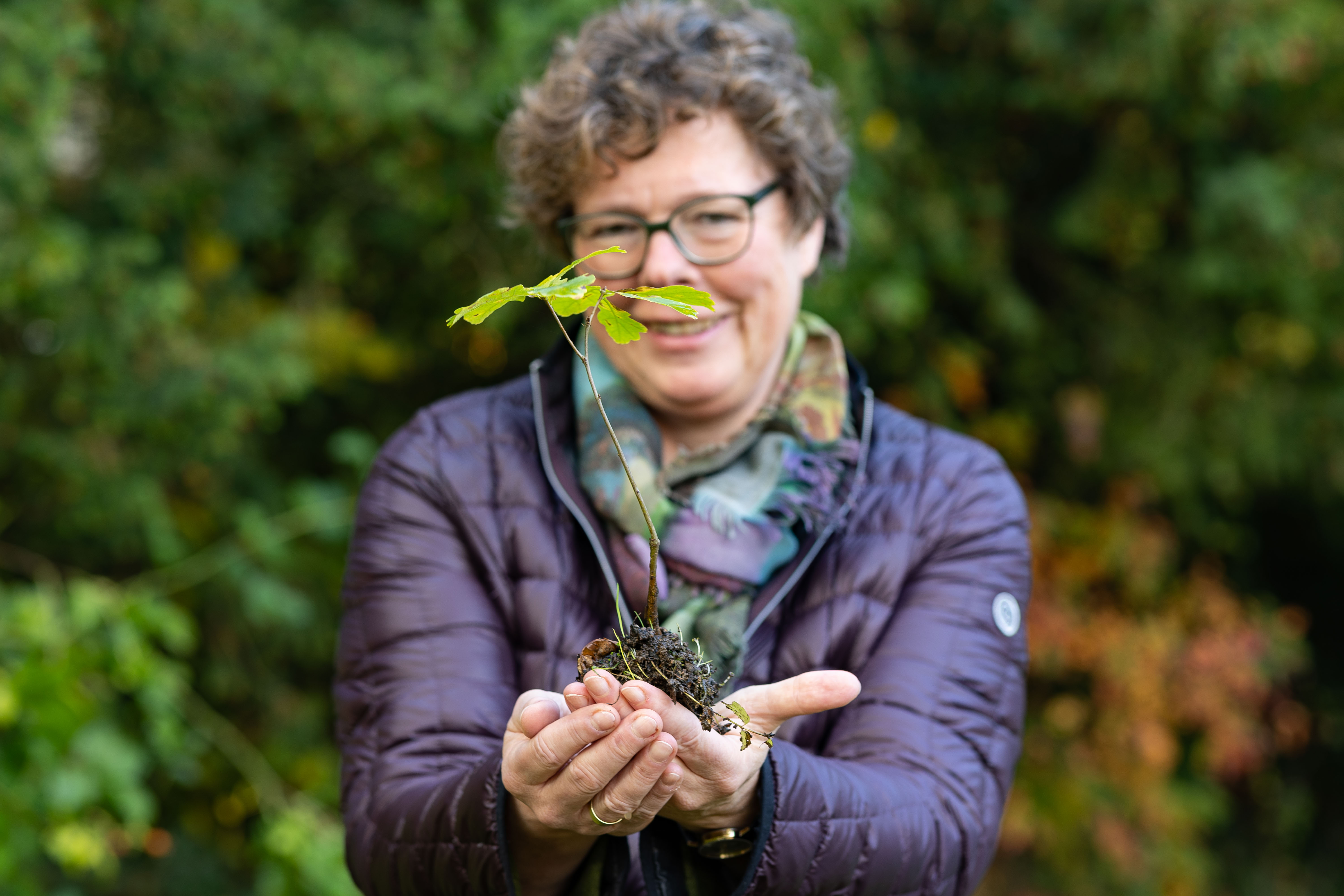 Baumpflanzaktion 750.000 neue Bäume EKKW